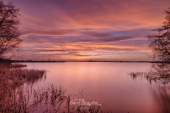 20210221-IMG_1900-bewerkt-2