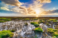 20210505-IMG_4575-HDR-bewerkt-bewerkt-1